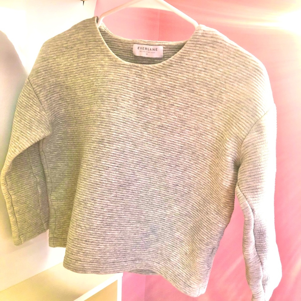 Everlane Cropped Crewneck Sweater